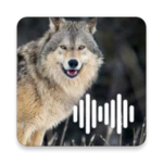 Logo of Wolf Calls android Application 